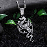 Coller dragon garçon