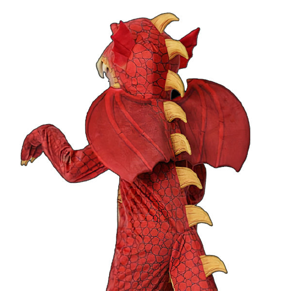 Fire Dragon Costume
