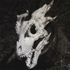 Masque Squelette Dragon