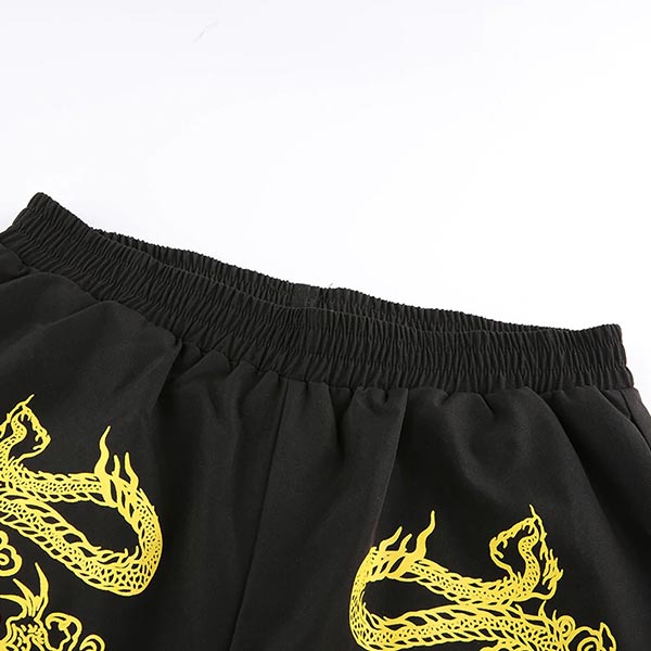 Pantalon Dragon Alter Ego