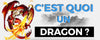 C'est quoi un dragon ?
