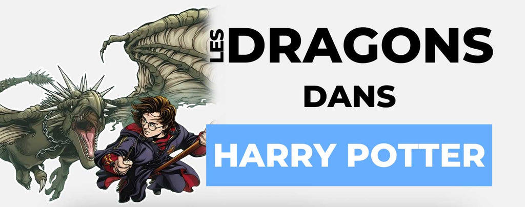 Dragons Harry Potter