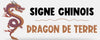 Signe chinois dragon de terre