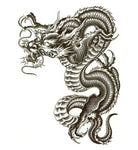 Tatouage éphémère dragon japonais
