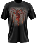 tee shirt dragon homme